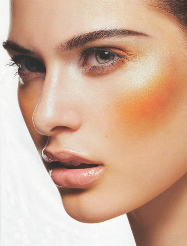 Den ultimative highlighter guide af Sine Ginsborg